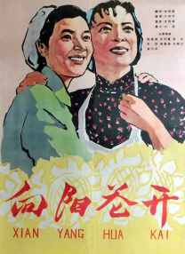 海角视频破解版